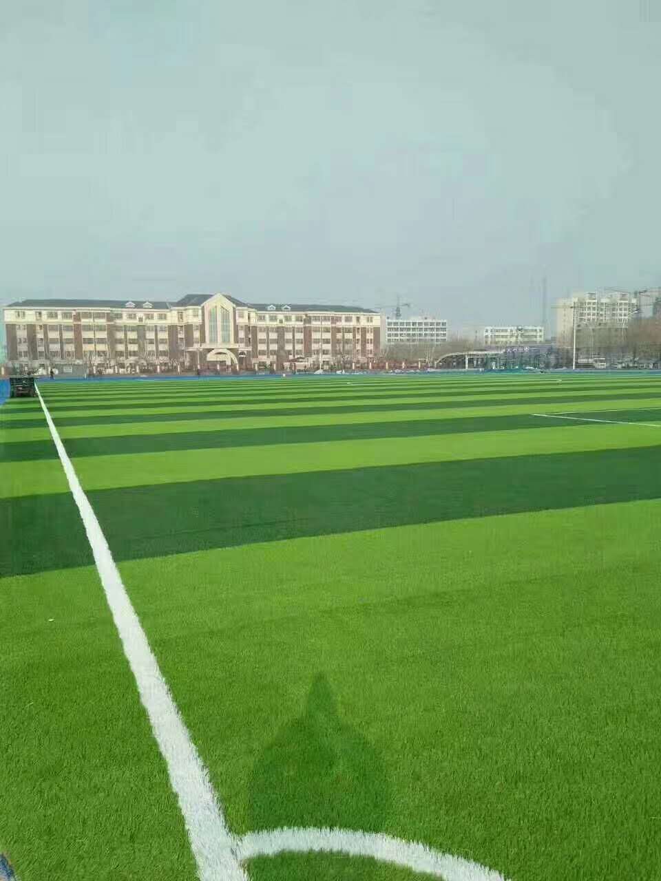 昆明市预制型跑道仿真草坪 - 哪里好